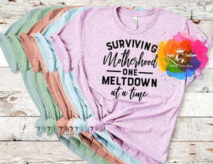 Surviving Motherhood-Sale